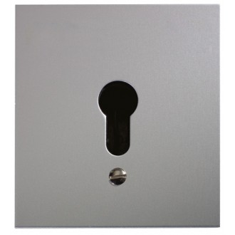 Schlüsseltaster im Metallgehäuse, 2-Kontakt ohne Zylinder (Unterputz)